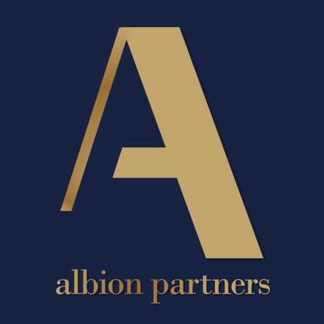 ALBION PARTNERS